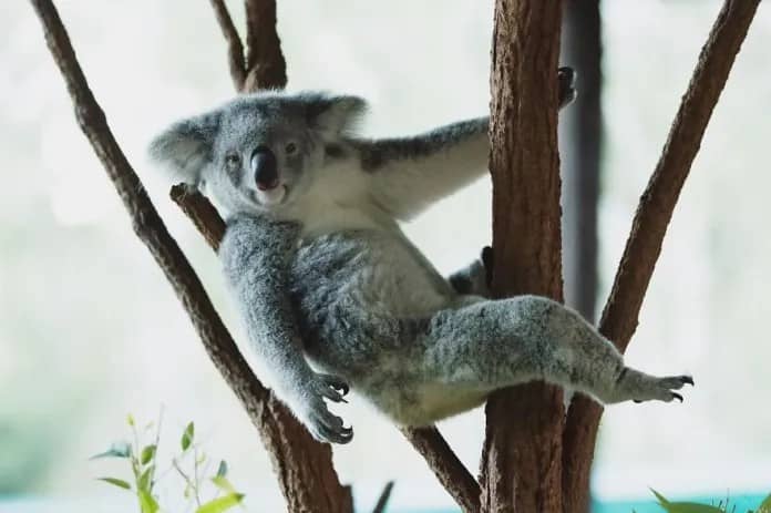Discover the Stunning Wildlife Photography of Robert Irwin, 19-Year-Old Son of Steve Irwin